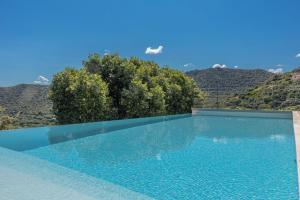 a blue swimming pool with mountains in the background at Villa Monticello in Monticello
