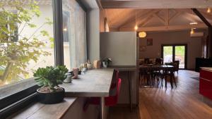 ヴァルレアスにあるMaison Chaleureuse avec Terrasse Privéeのキッチン、ダイニングルーム(植物テーブル付)