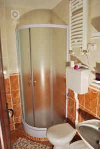 Ένα μπάνιο στο Apartmani "Vila Jelena" Arandjelovac +67 φωτογραφίες