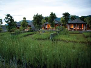 une maison au milieu d'un champ avec de l'herbe haute dans l'établissement MUTHI MAYA Forest Pool Villa Resort - SHA Plus Certified, à Mu Si