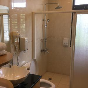 埔里闕麒景觀民宿Chill Villa B&B的带淋浴、水槽和马桶的浴室