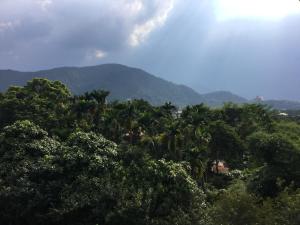 民宿周边自然景观
