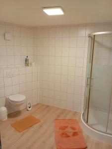 Ένα μπάνιο στο Ferienwohnungen Altstadt