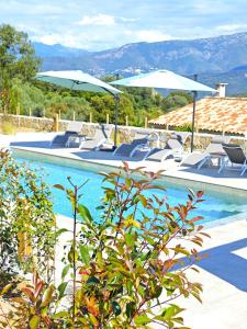 una piscina con sillas y sombrillas en Villa E Cotule, en Santa-Reparata-di-Balagna