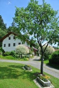 uma árvore na relva em frente a uma casa em Haus Am Waldrand - Ferienwohnung Augustin em Grafenau