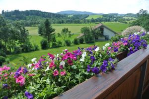 a garden with flowers on a wooden fence at Haus Am Waldrand - Ferienwohnung Augustin in Grafenau