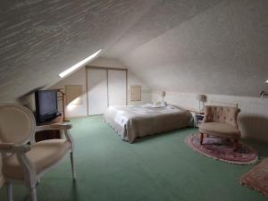 a bedroom with a bed and a tv and a chair at Maison Isabelle in La Ferté-Saint-Cyr