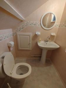 a bathroom with a toilet and a sink and a mirror at Maison Isabelle in La Ferté-Saint-Cyr