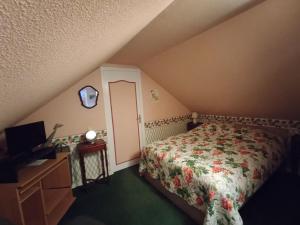 a bedroom with a bed and a television in a attic at Maison Isabelle in La Ferté-Saint-Cyr +2 photos