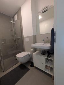 a bathroom with a shower and a toilet and a sink at Ferienwohnung mit Garten, Terrasse, Tiefgarage in Zirndorf