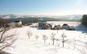 a group of houses in a snow covered field at Kwatera Pod Lasem in Istebna