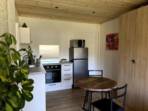 a kitchen with a small table and a refrigerator at Studio des bains in Aix-les-Bains