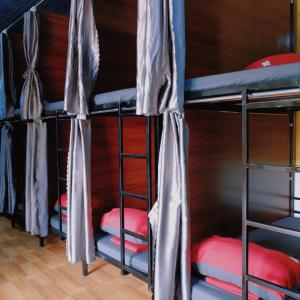 a group of bunk beds in a room at Sunflower House - Ha Giang Loop Tour in Bản Kin