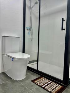 La salle de bains est pourvue d'une douche et de toilettes blanches. dans l'établissement Apartamento Apolo Martin, à Calp 13 autres photos