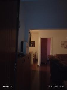 Una sala de estar con un sofá y un televisor. en Marina, en Sremčica