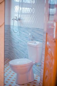 a bathroom with a toilet and a shower at Antelope homestay in Boma la Ngombe