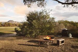 a fire pit and a picnic table in a field at Hollow Mountain Getaway 2 by Tiny Away in Laharum