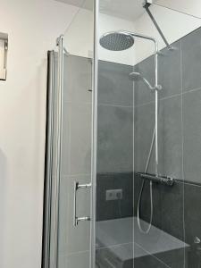 ゲーラにあるBüchner 52-1の浴室のガラス扉付きシャワー