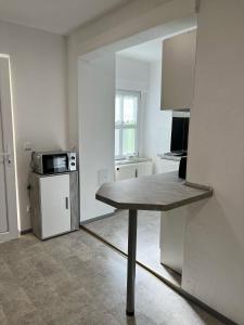 ゲーラにあるBüchner 52-1の部屋の中央にテーブルがあるキッチン