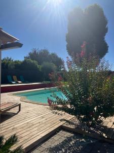 a swimming pool with a wooden deck and a tree at Le Temps d'une Parenthèse Chambre d'hôte en Camargue wifi piscine Clim in Marsillargues +3 photos