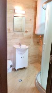 a bathroom with a sink and a mirror and a toilet at Guesthouse River House in Svilengrad +40 photos
