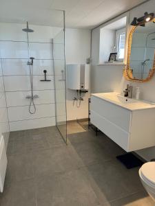 un bagno con doccia, lavandino e specchio di Beautiful cottage with ocean view a Esbjerg