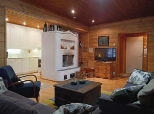 un soggiorno con un divano e una TV di Kuusirinne a Syöte