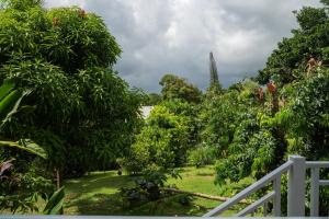 a view of a garden with trees and a fence at Ti coin bonheur - Jacuzzi Privé in Prise dʼEau