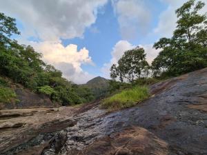 a dirt road with trees on the side of a mountain at Mamalakandam - The White house, Diya homestay in Mamalakandam