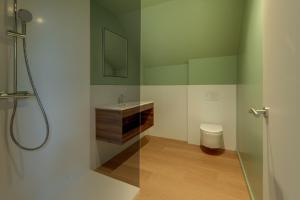 a bathroom with a sink and a toilet at Ferme de Pétrieux - Gîte "Le Peuplier" avec piscine et wellness in Tournai +3 photos