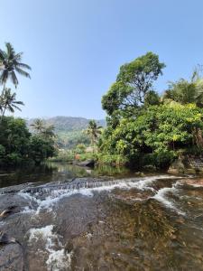 a river with rapids in the middle of a forest at Mamalakandam - Egg House - in Diya Homestay in Mamalakandam