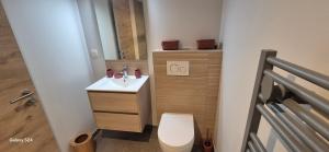 Un baño pequeño con inodoro y lavabo. en CHEZ GERALDINE GITES à LA FERME, en Muntzenheim