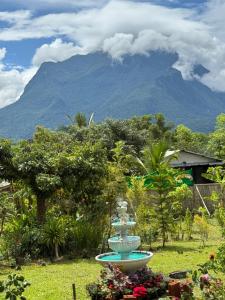 a fountain in a garden with a mountain in the background at ม่อนหมอกเชียงดาว in Chiang Dao