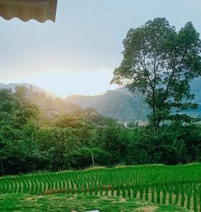 Příroda nedaleko ubytování v soukromí