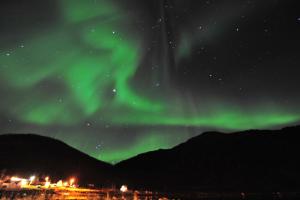 an image of the northern lights in the sky at Fishermens House, 3 bedrooms apartment near the sea Medby Senja in Senja