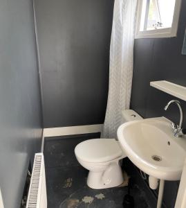 a bathroom with a white toilet and a sink at Nice vacation home in forest area in Anloo