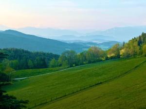 a green field with a fence and mountains in the background at Apartment mit Balkon & Bergblick inklusive Parkplatz in Christofberg