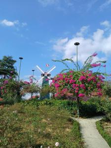 a garden with pink flowers and a windmill in the background at Than Uyên hotel in Than Uyên