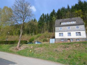 a house on the side of a hill with a tree at Villa with Sauna in Liesen in Hallenberg +32 photos