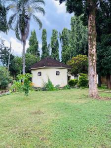 Taman di luar Kilimanjaroo Inn