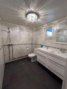 a bathroom with a toilet and a tub and a sink at Cabin with Sauna and Aurora Views in Karlsøy