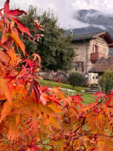 a bunch of colorful leaves in front of a house at Il Granaio - Historic Molino Maufet Watermill - Lake Como in Colico
