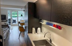 Μια τηλεόραση ή/και κέντρο ψυχαγωγίας στο 1 Bedroom Nice Apartment In Helsingør