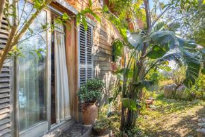 ein Haus mit Pflanzen vor einem Fenster in der Unterkunft Maison E Tre Petre in Valle-di-Campoloro