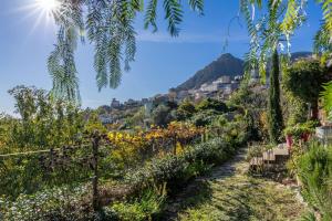 einen Garten mit einem Berg im Hintergrund in der Unterkunft Maison E Tre Petre in Valle-di-Campoloro