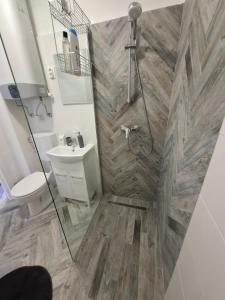 a bathroom with a shower and a toilet and a sink at Park Apartman in Kaposvár +13 photos