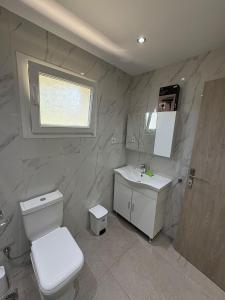 a bathroom with a toilet and a sink and a mirror at Bungalow By Eftimiya in Nea Roda +13 photos