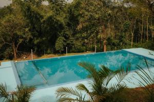 a blue swimming pool with trees in the background at Misty Night Wayanad Pool Resort in Wayanad