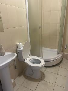 a bathroom with a toilet and a shower and a sink at Bela Ruza in Belgrade