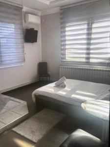 a hospital room with a bed and a sink at Bela Ruza in Belgrade